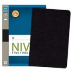 Niv Study Bible